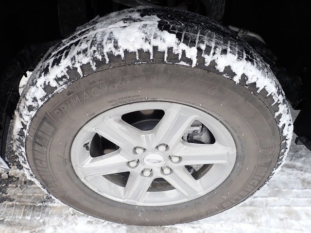 Used 2025 Ford F150 XLT w/ Equipment Group 302A MID image 9