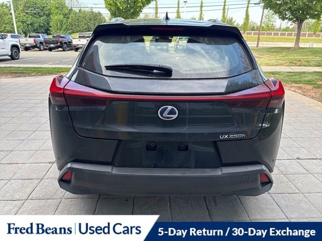 Used 2019 Lexus UX 250h w/ Cold Area Package AWD/4WD image 9