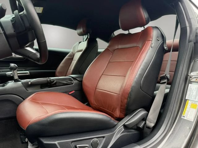 Used 2015 Ford Mustang Premium w/ Equipment Group 201A RWD image 11