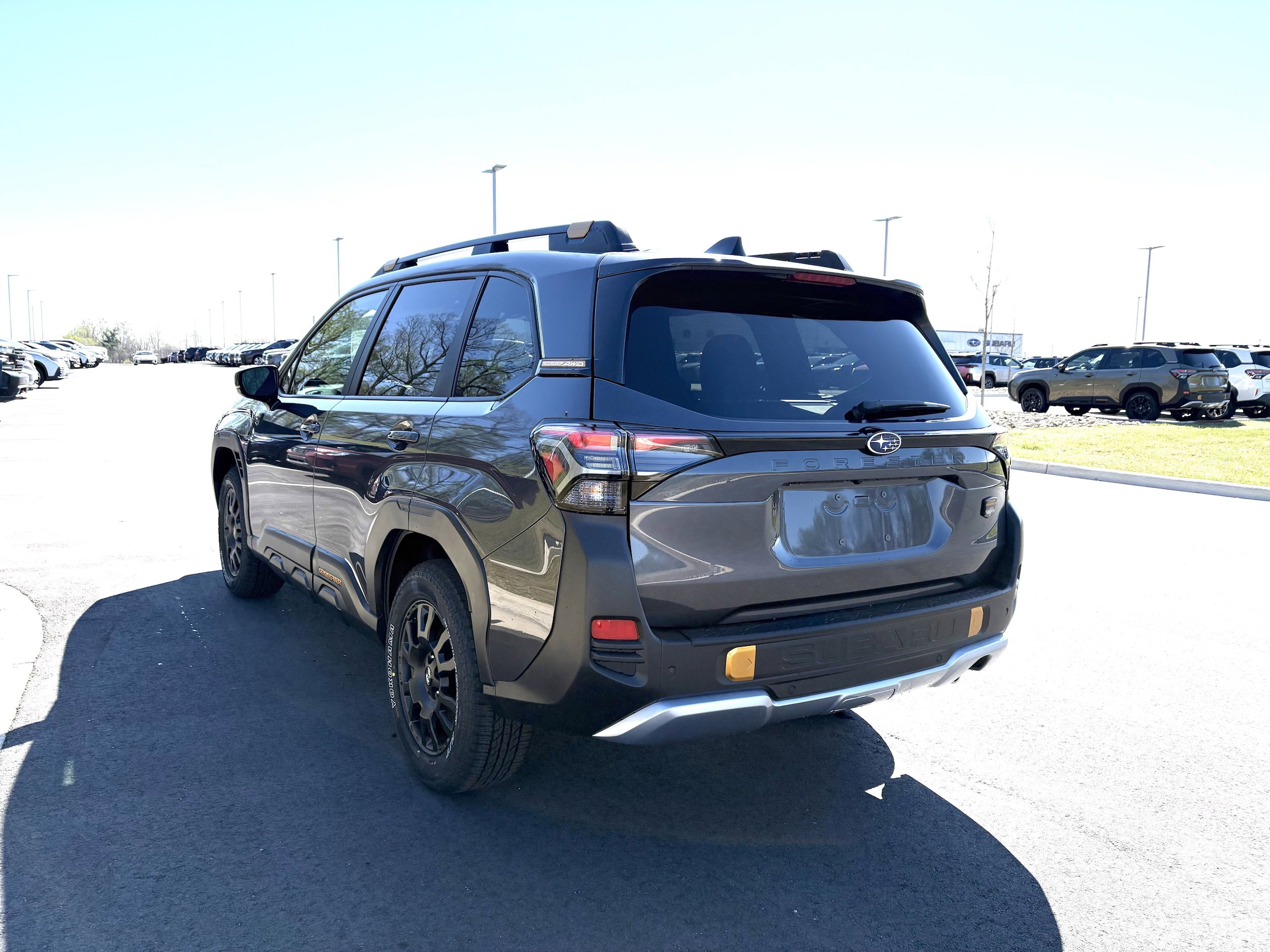 New 2026 Subaru Forester Wilderness image 6
