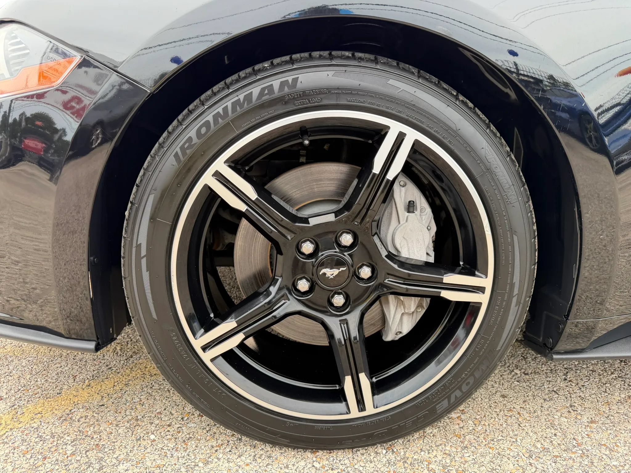 Used 2019 Ford Mustang GT Premium w/ Equipment Group 401A RWD image 13