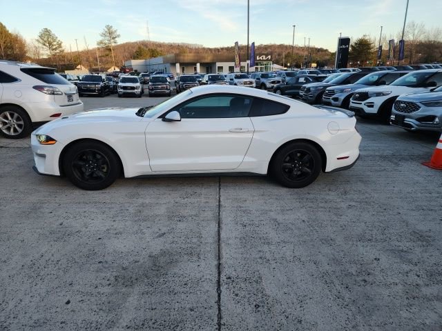 Used 2018 Ford Mustang EcoBoost image 6