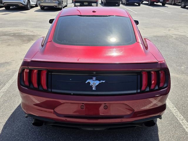 Used 2019 Ford Mustang Premium w/ Equipment Group 201A image 3