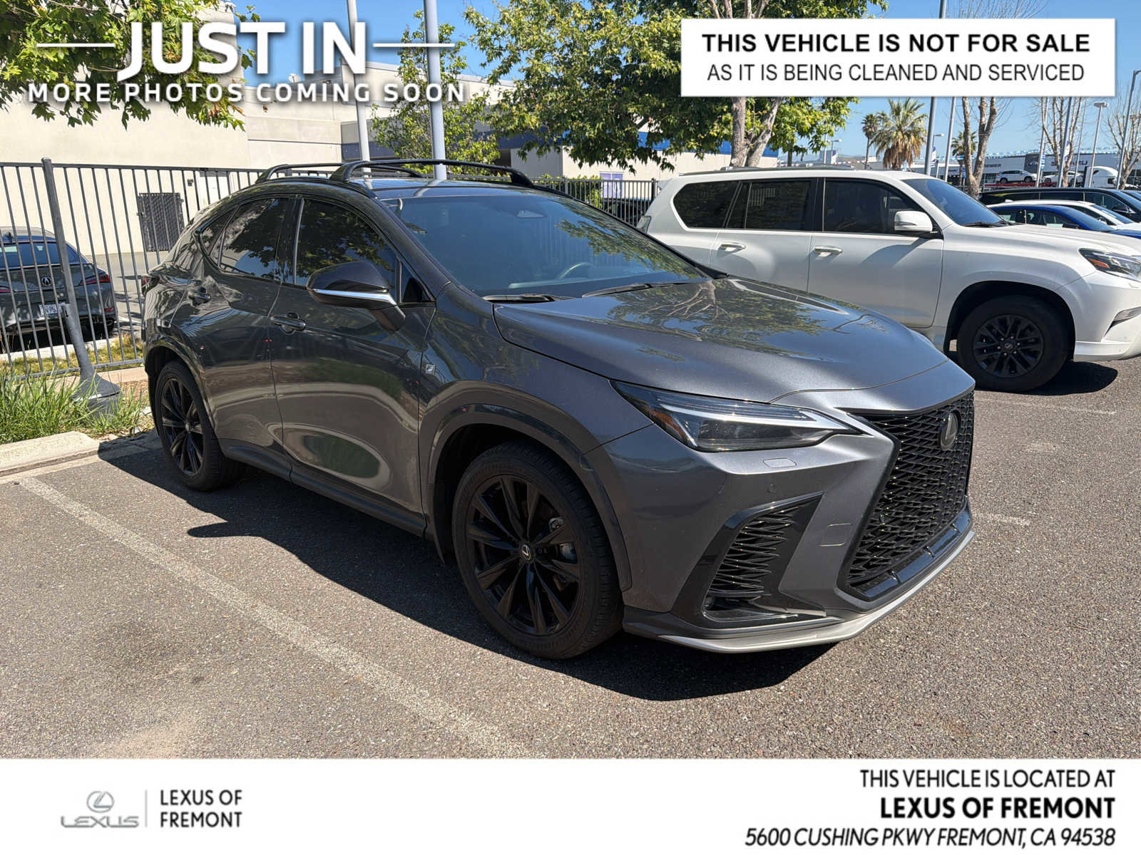 Used 2025 Lexus NX 350 F Sport w/ Accessory Package (2T)