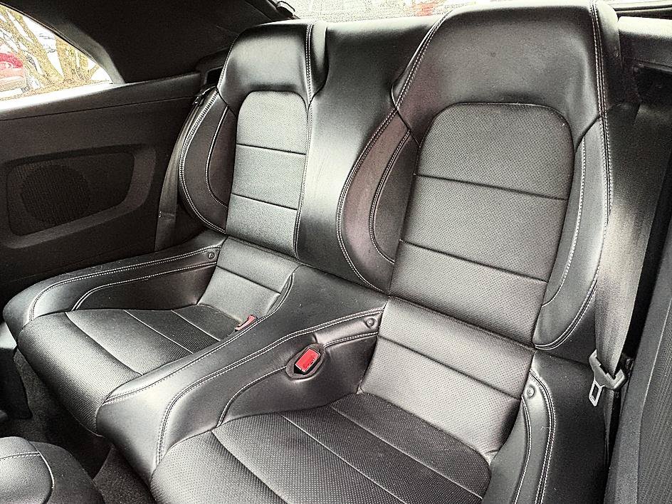 Used 2019 Ford Mustang GT Premium w/ Equipment Group 401A RWD image 9