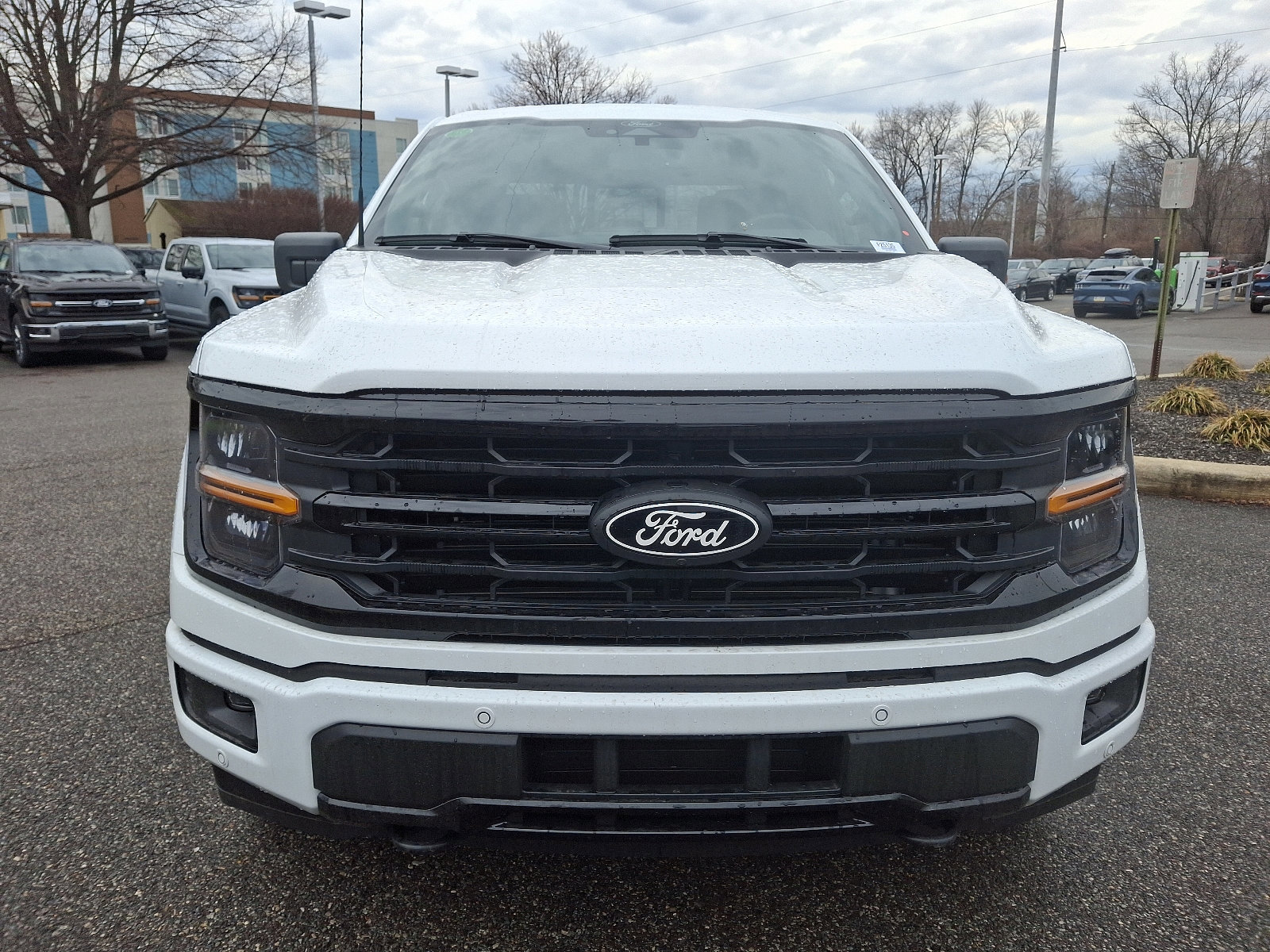 New 2025 Ford F150 XLT w/ Equipment Group 302A MID image 2