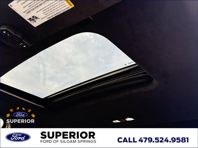 Used 2024 GMC Sierra 2500 Denali Ultimate w/ Max Trailering Package image 28