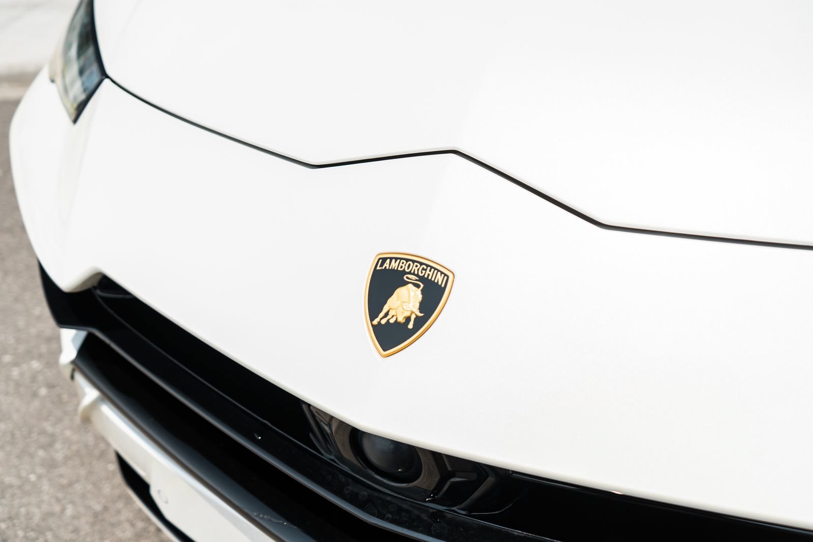 Used 2023 Lamborghini Urus S AWD/4WD image 21