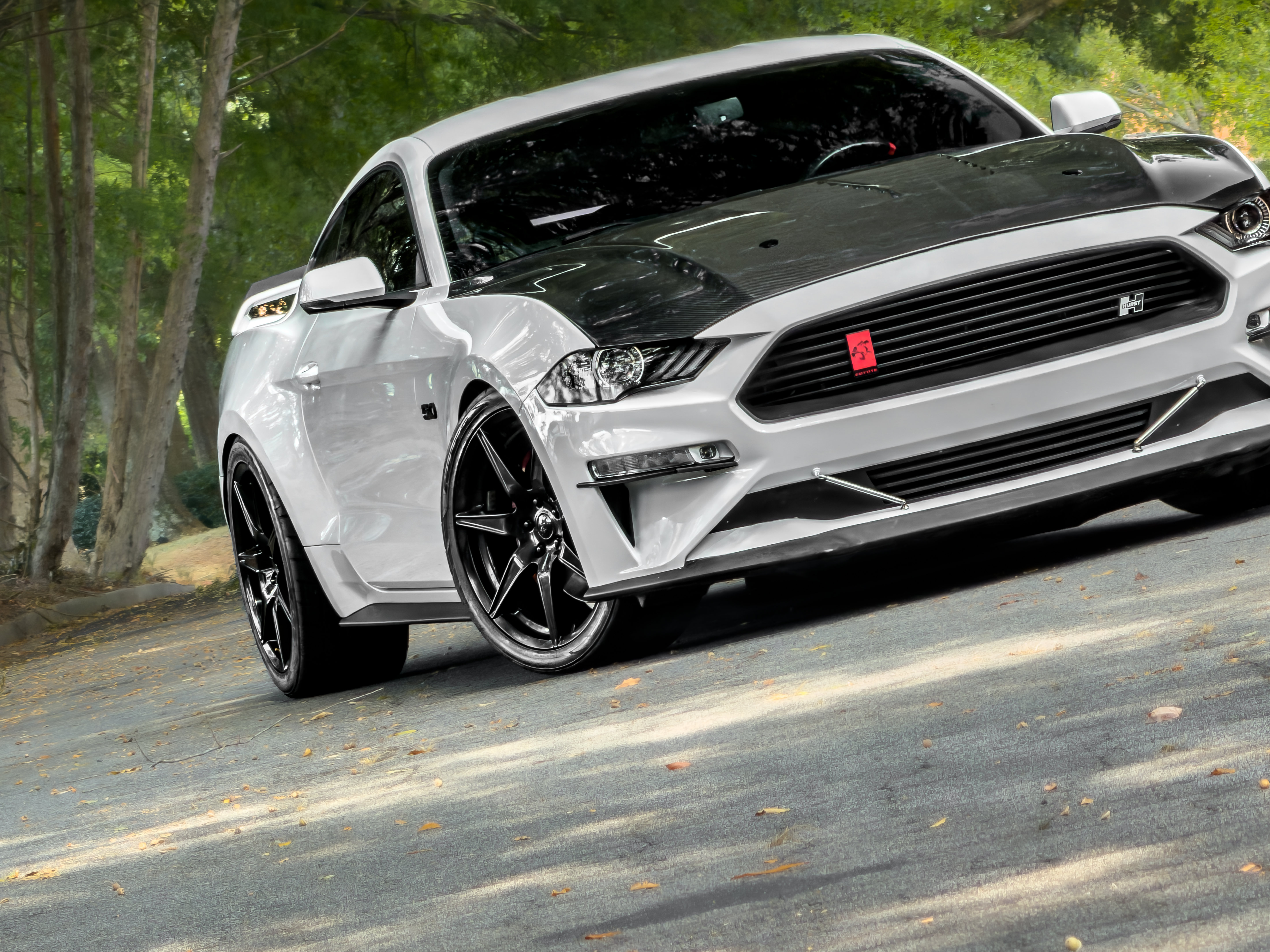 Used 2019 Ford Mustang GT Premium w/ GT Performance Package RWD image 23