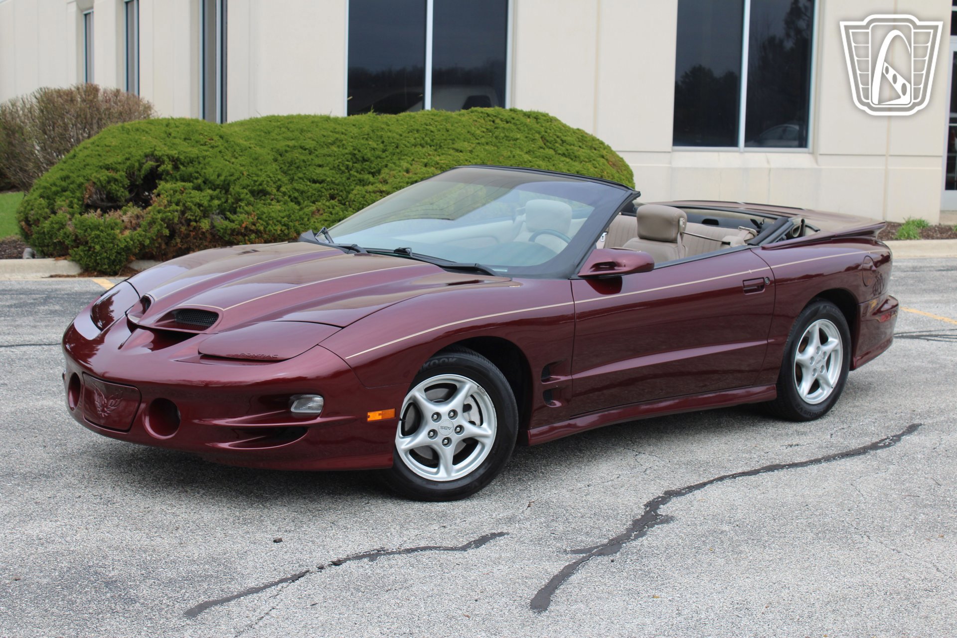 Used 2000 Pontiac Firebird Trans Am RWD image 2