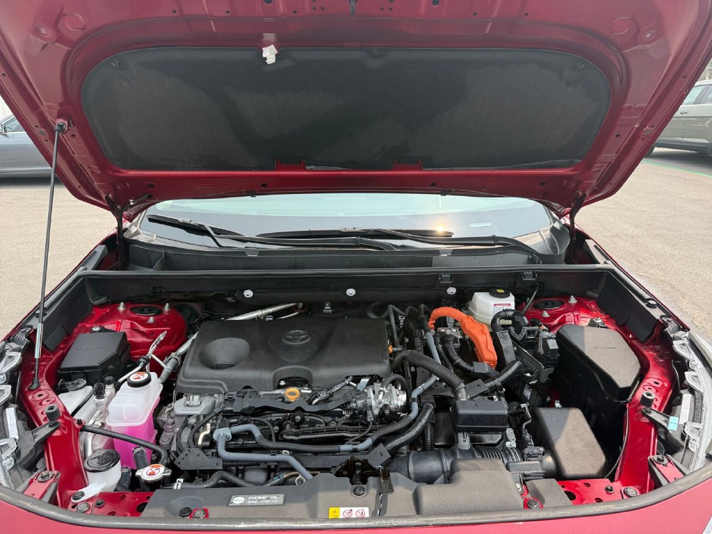 Used 2025 Toyota RAV4 XLE AWD/4WD image 32