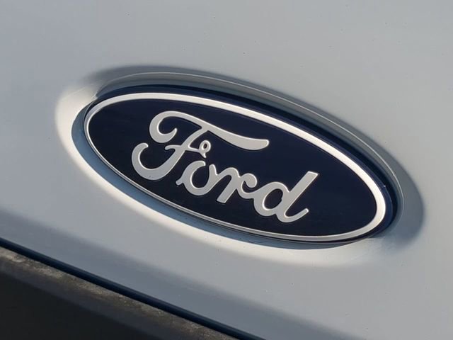 New 2026 Ford Transit 250 148 Medium Roof w/ Load Area Protection Package image 13