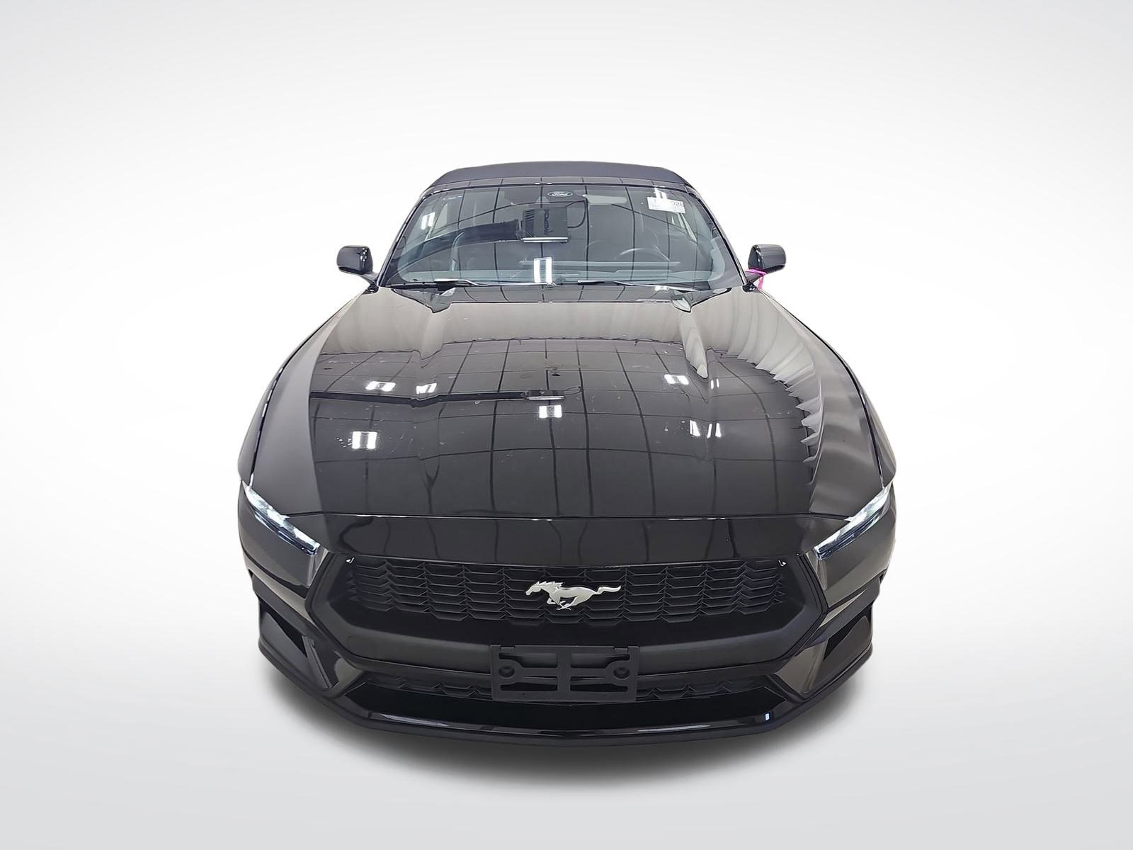 Certified 2024 Ford Mustang Premium image 4