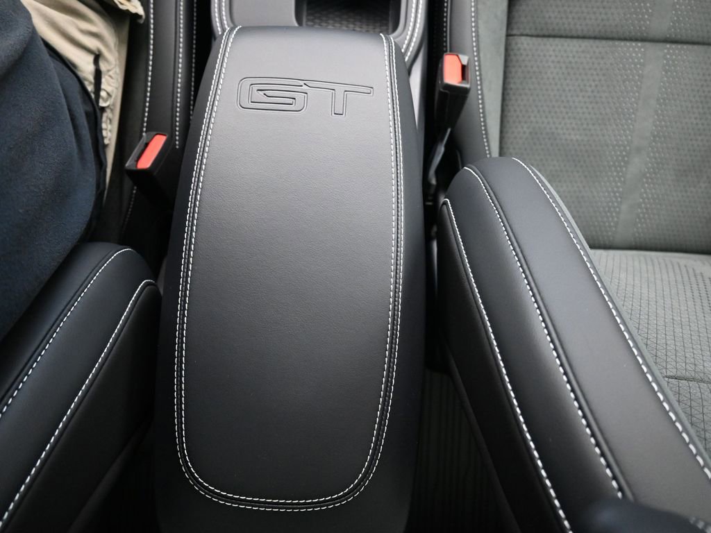 New 2025 Ford Mustang Mach-E GT w/ Interior Protection Package image 33