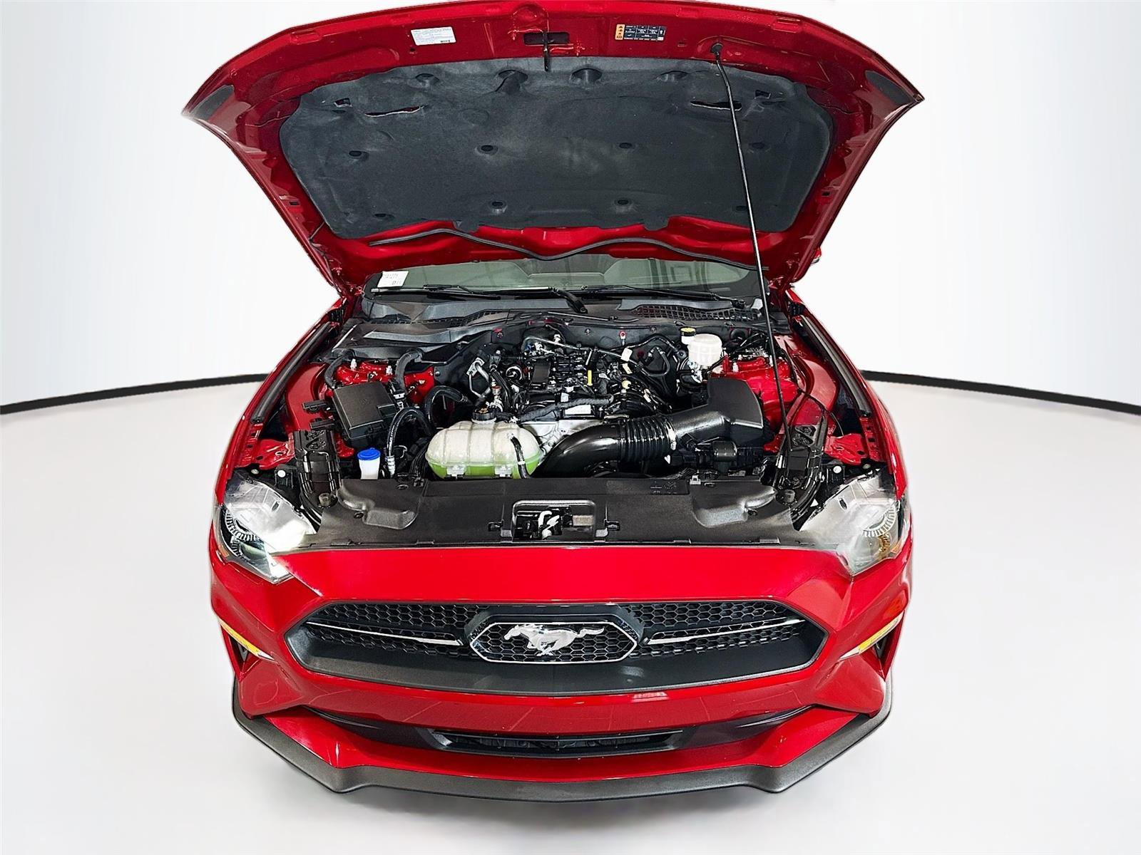 Used 2021 Ford Mustang Premium w/ Equipment Group 201A RWD image 26