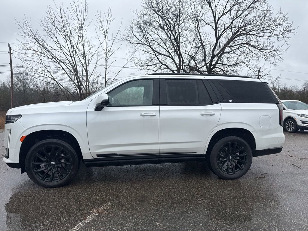 Used 2023 Cadillac Escalade Sport Platinum w/ LPO, ONYX Package image 6