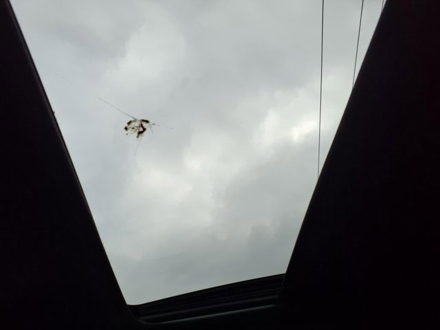 New 2025 Dodge Durango R/T image 12