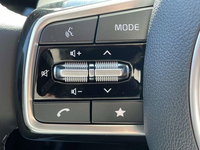 New 2026 Kia Carnival SX Prestige image 30