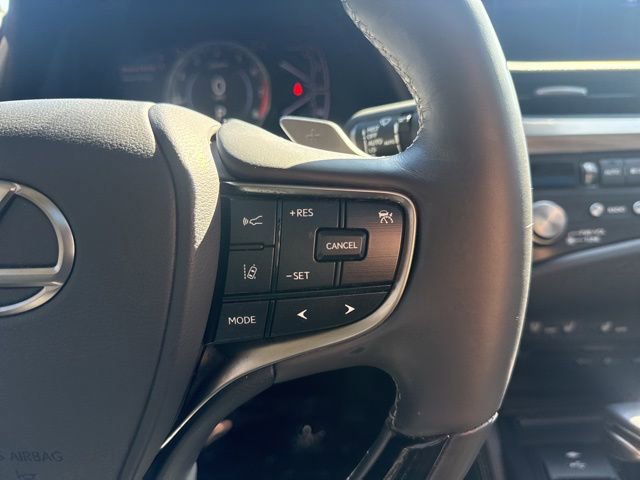 Used 2021 Lexus ES 250 w/ Premium Package image 14