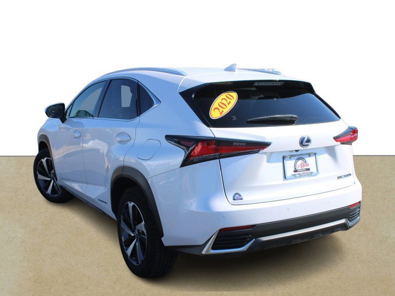 Used 2020 Lexus NX 300h AWD w/ Premium Package image 6
