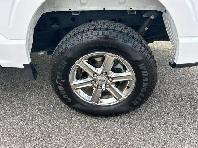 Used 2025 Ford F150 XLT w/ Equipment Group 301A Standard AWD/4WD image 14