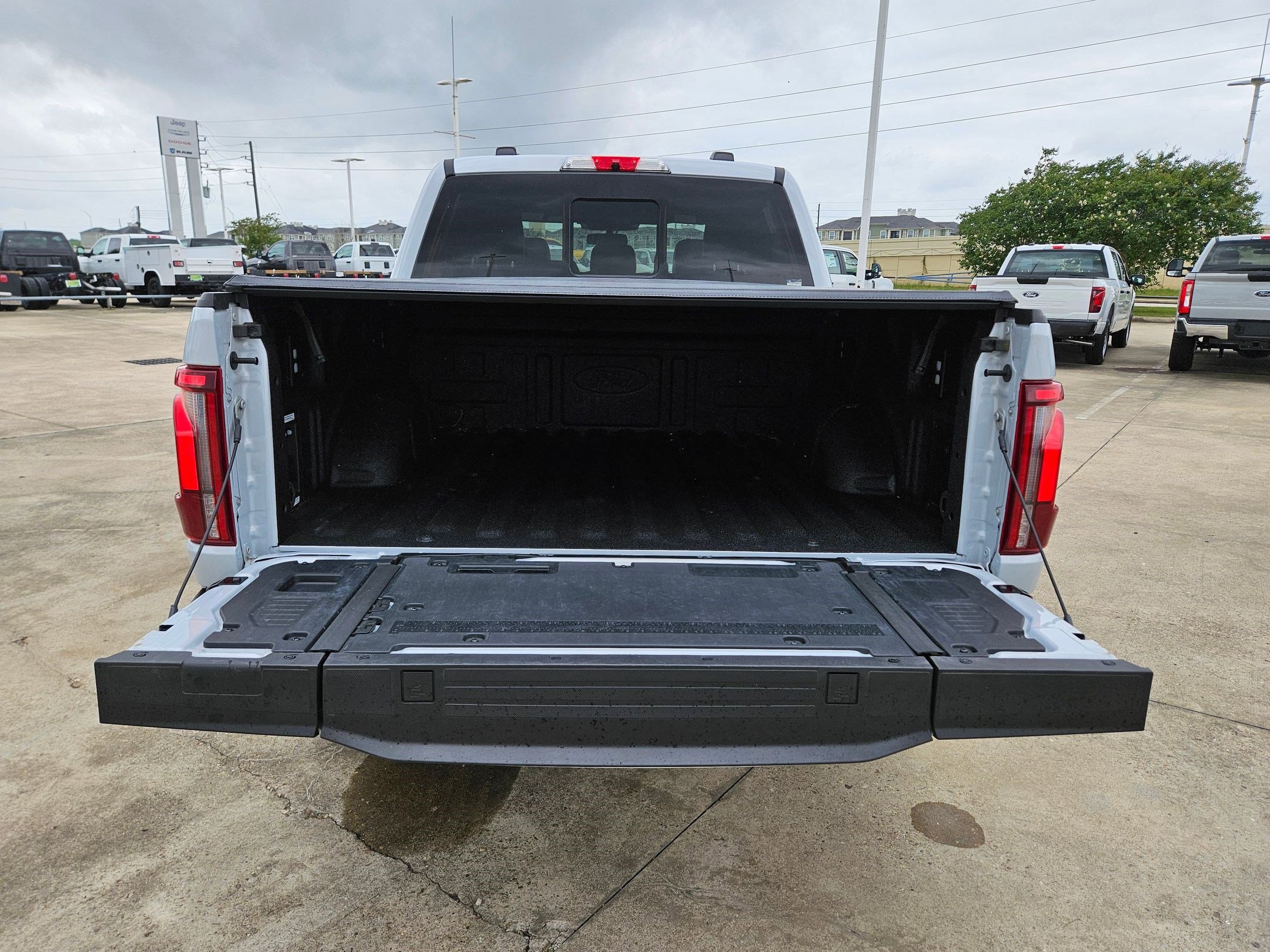 Used 2025 Ford F150 Platinum AWD/4WD image 30