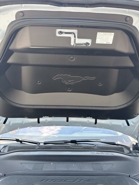 New 2025 Ford Mustang Mach-E GT image 14
