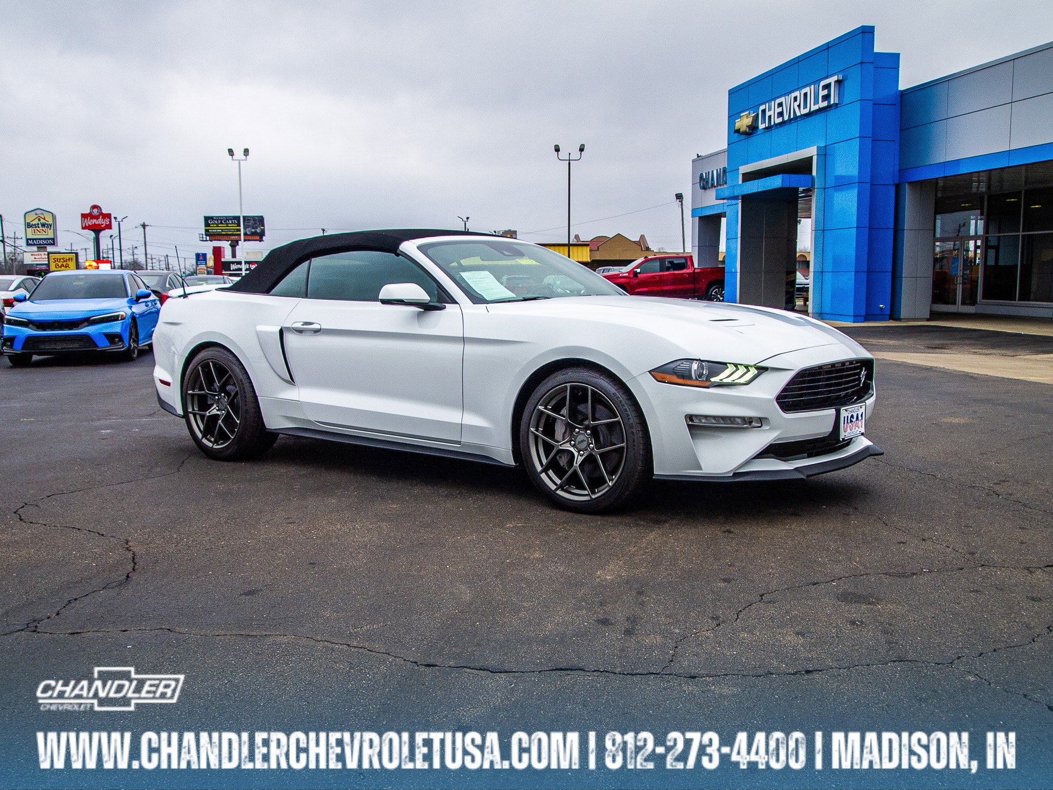 Used 2019 Ford Mustang GT Premium w/ Equipment Group 401A RWD image 1