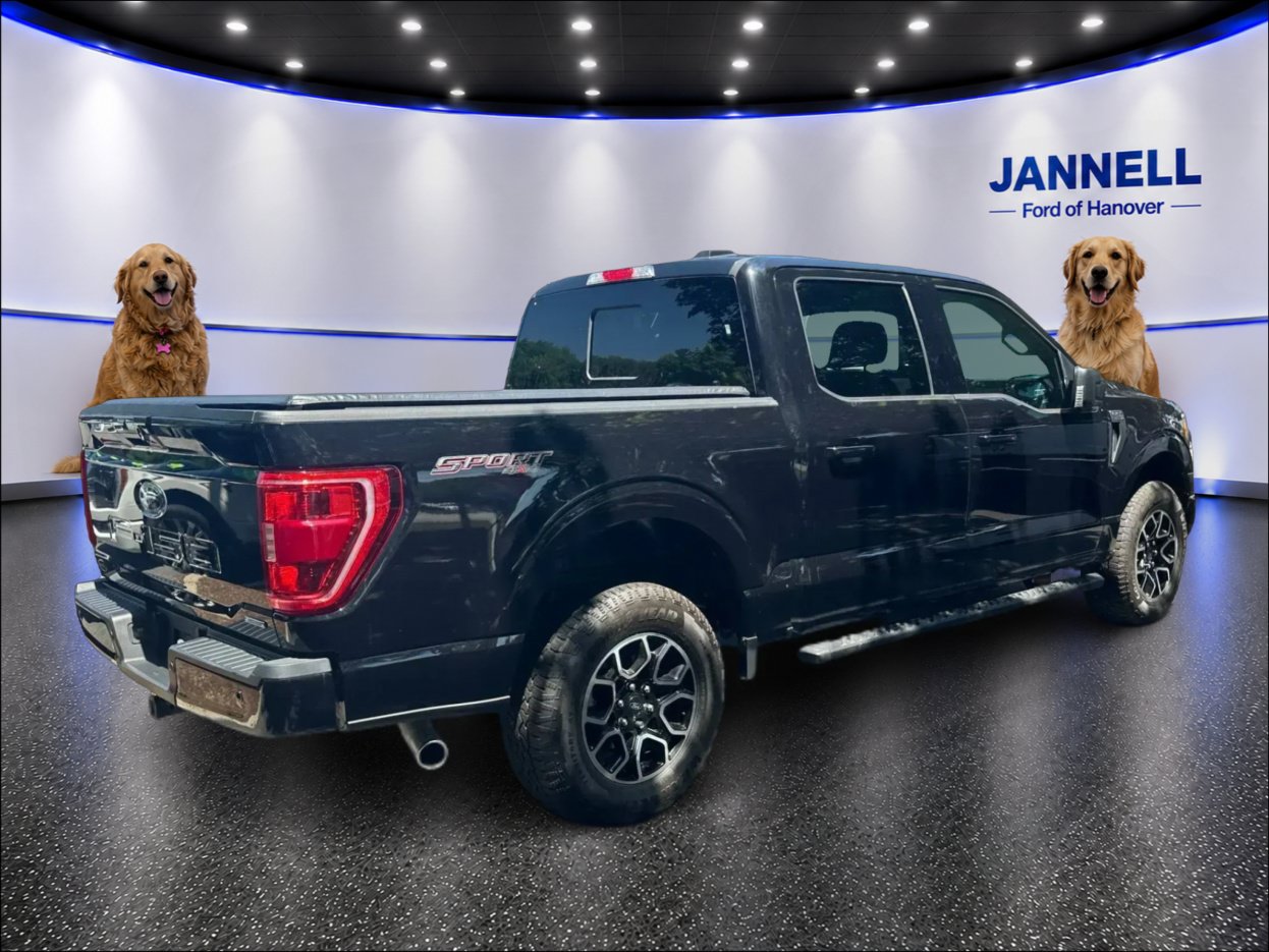 Used 2023 Ford F150 XLT w/ Equipment Group 302A High AWD/4WD image 6