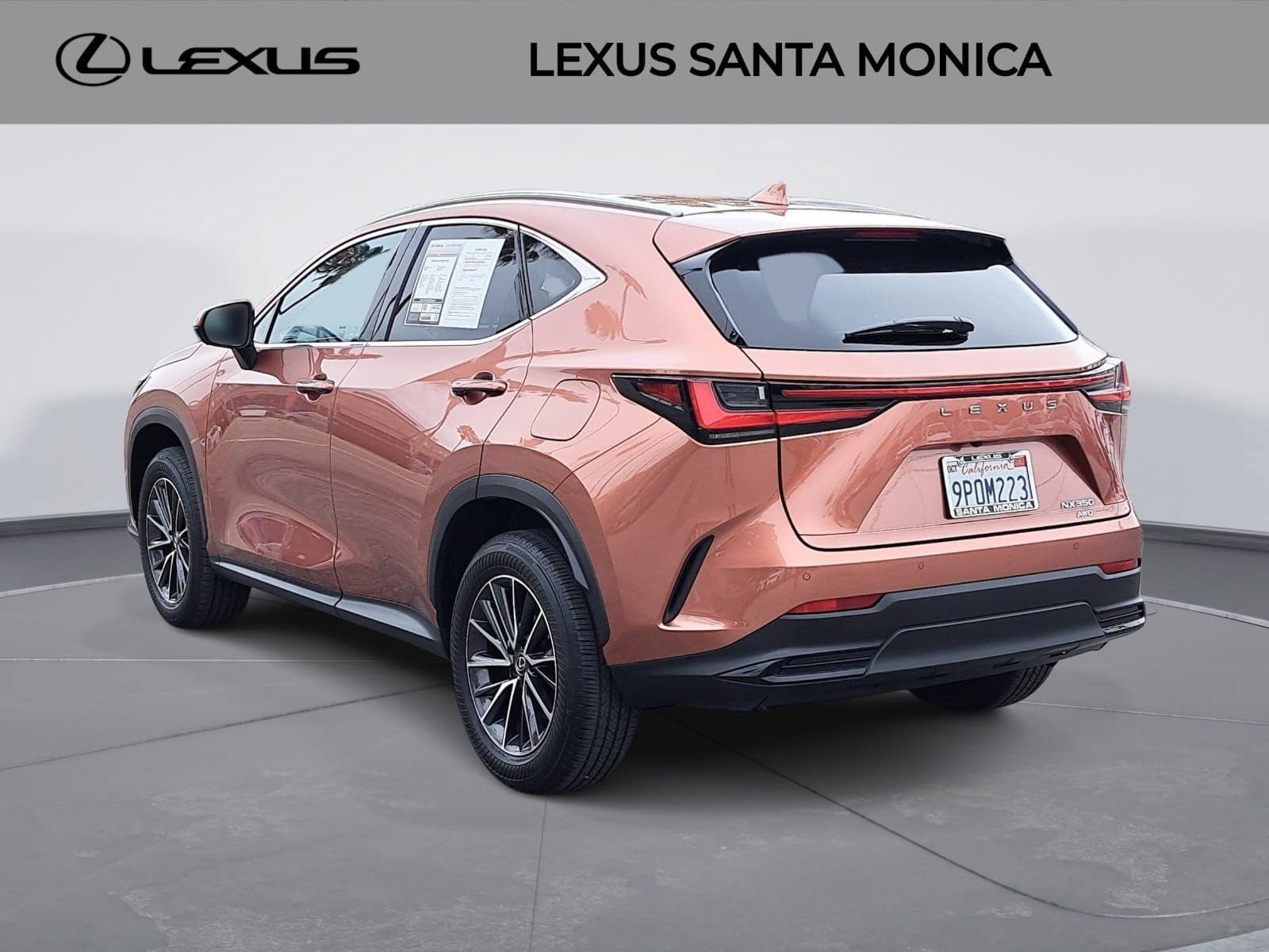 Used 2025 Lexus NX 350 AWD w/ Cold Area Package image 7