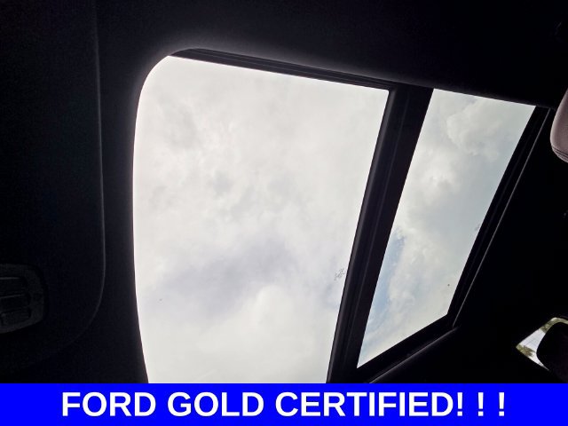 Certified 2024 Ford Expedition Limited RWD image 19