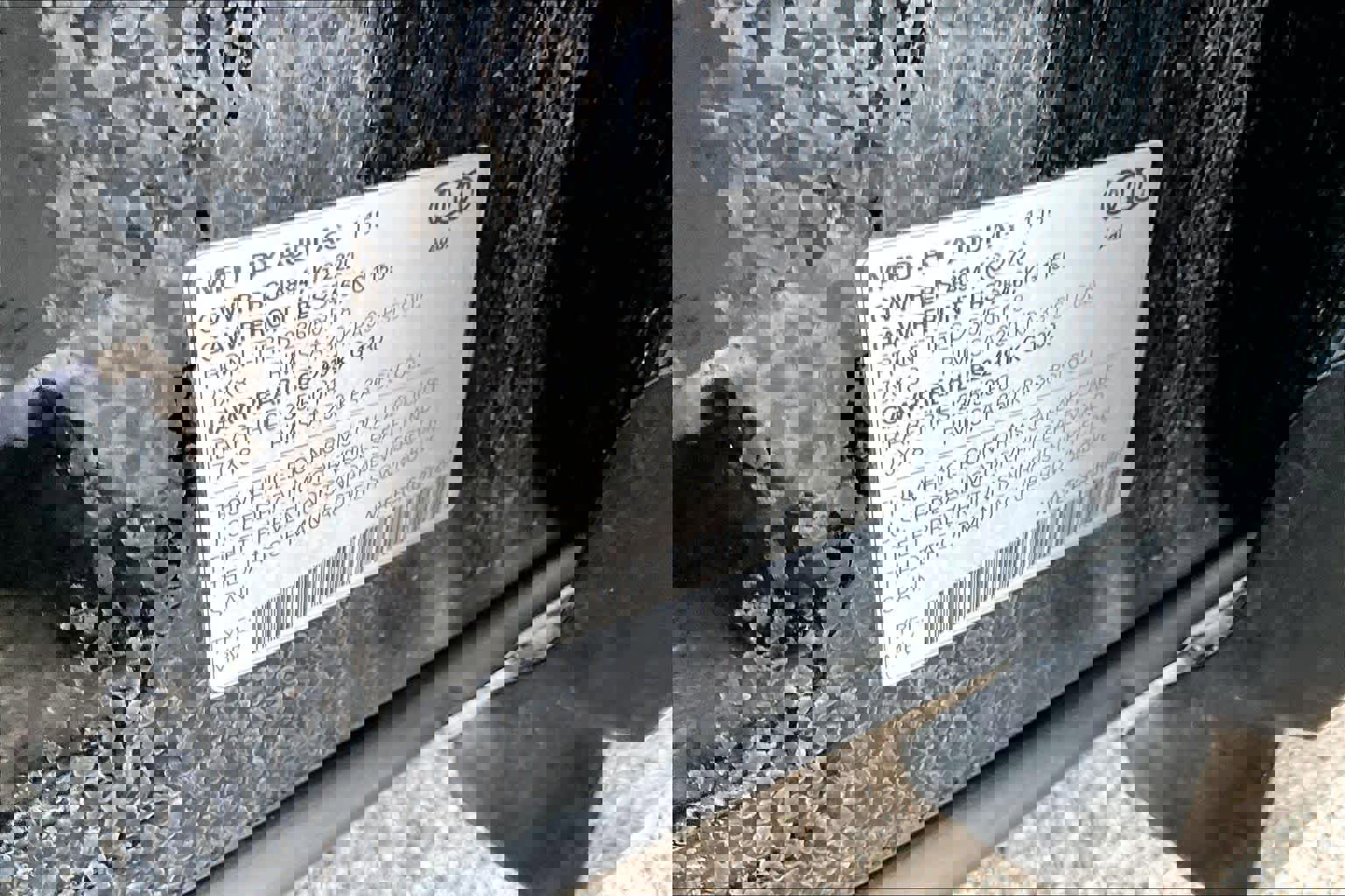 Used 2016 Audi Q3 2.0T Premium Plus w/ Technology Package AWD/4WD image 36