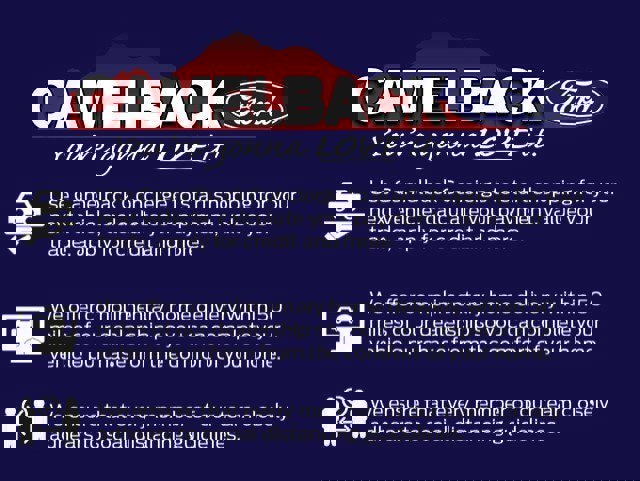 New 2025 Ford Expedition Platinum w/ Stealth Performance Package image 47