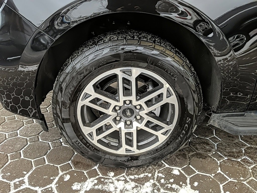 Certified 2025 Ford Expedition Active image 14