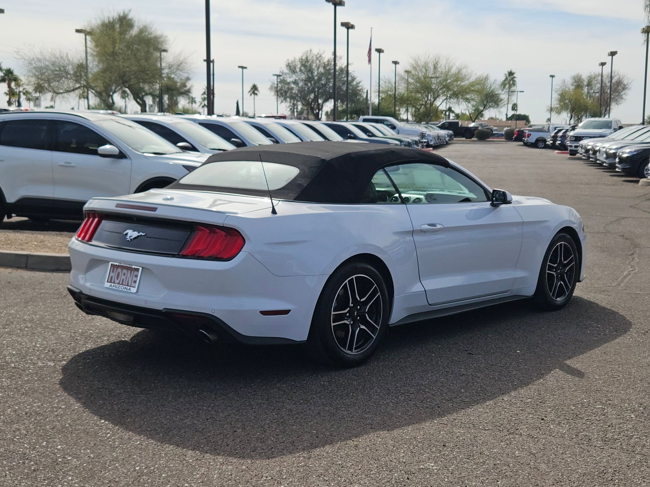 Used 2020 Ford Mustang Premium image 5