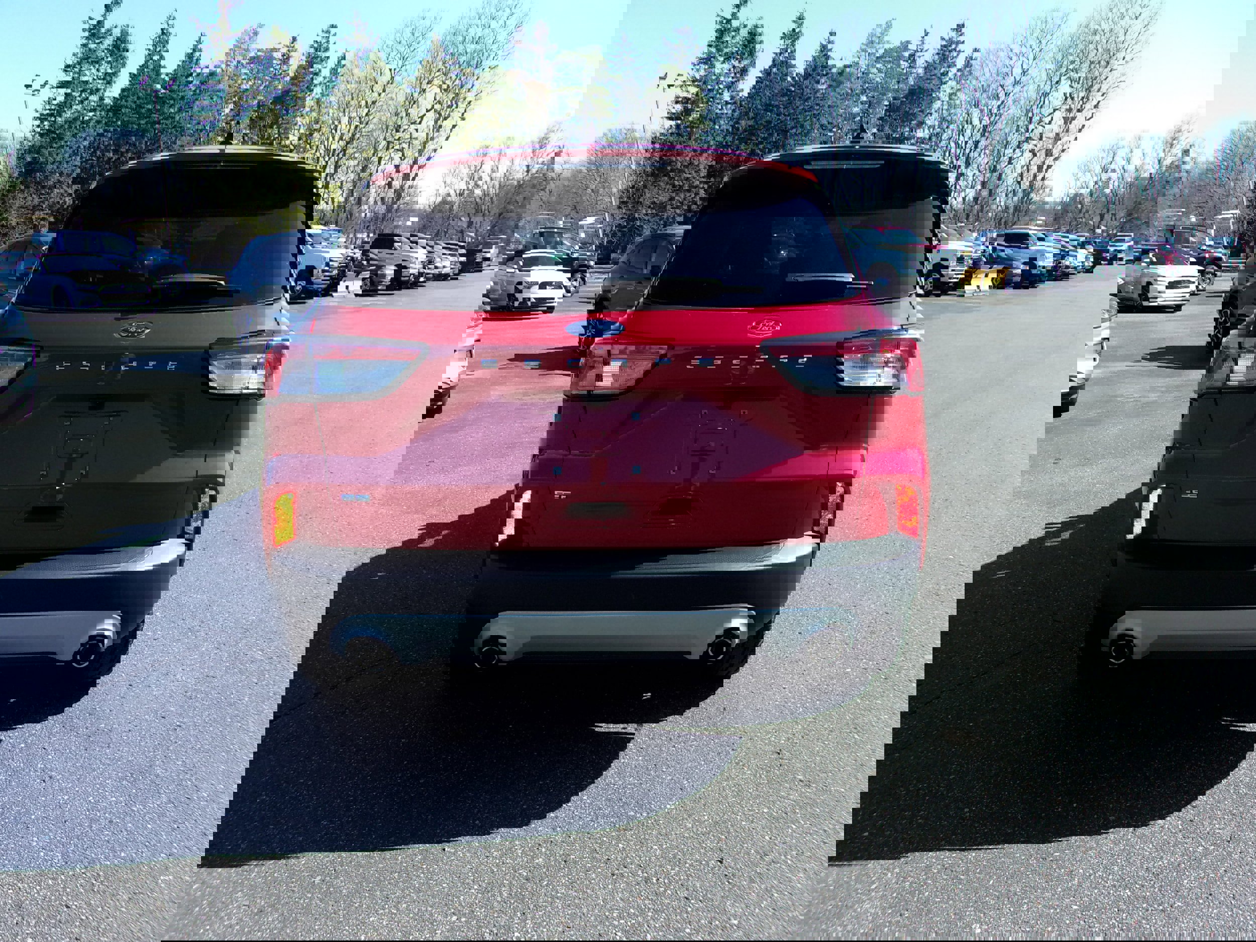 Certified 2022 Ford Escape SE w/ Convenience Package image 4