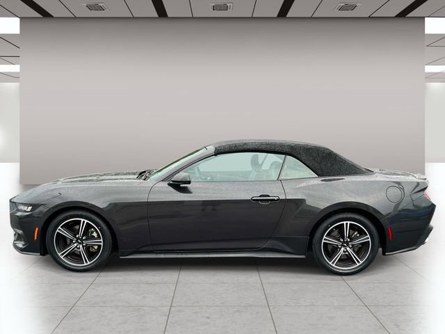 Used 2024 Ford Mustang Premium RWD image 7