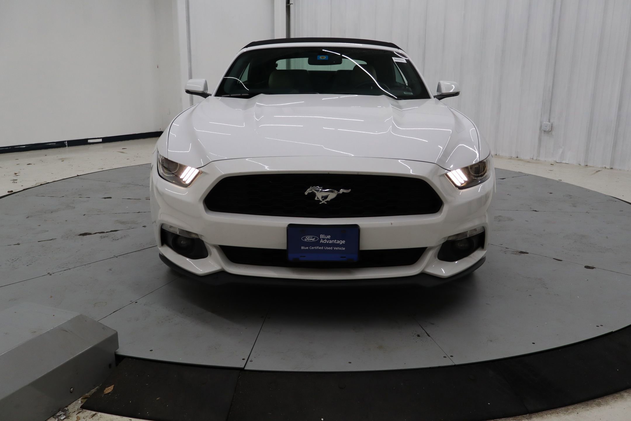 Certified 2017 Ford Mustang Premium image 11