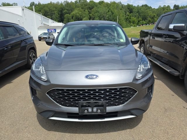 Used 2022 Ford Escape SE w/ Convenience Package FWD image 3