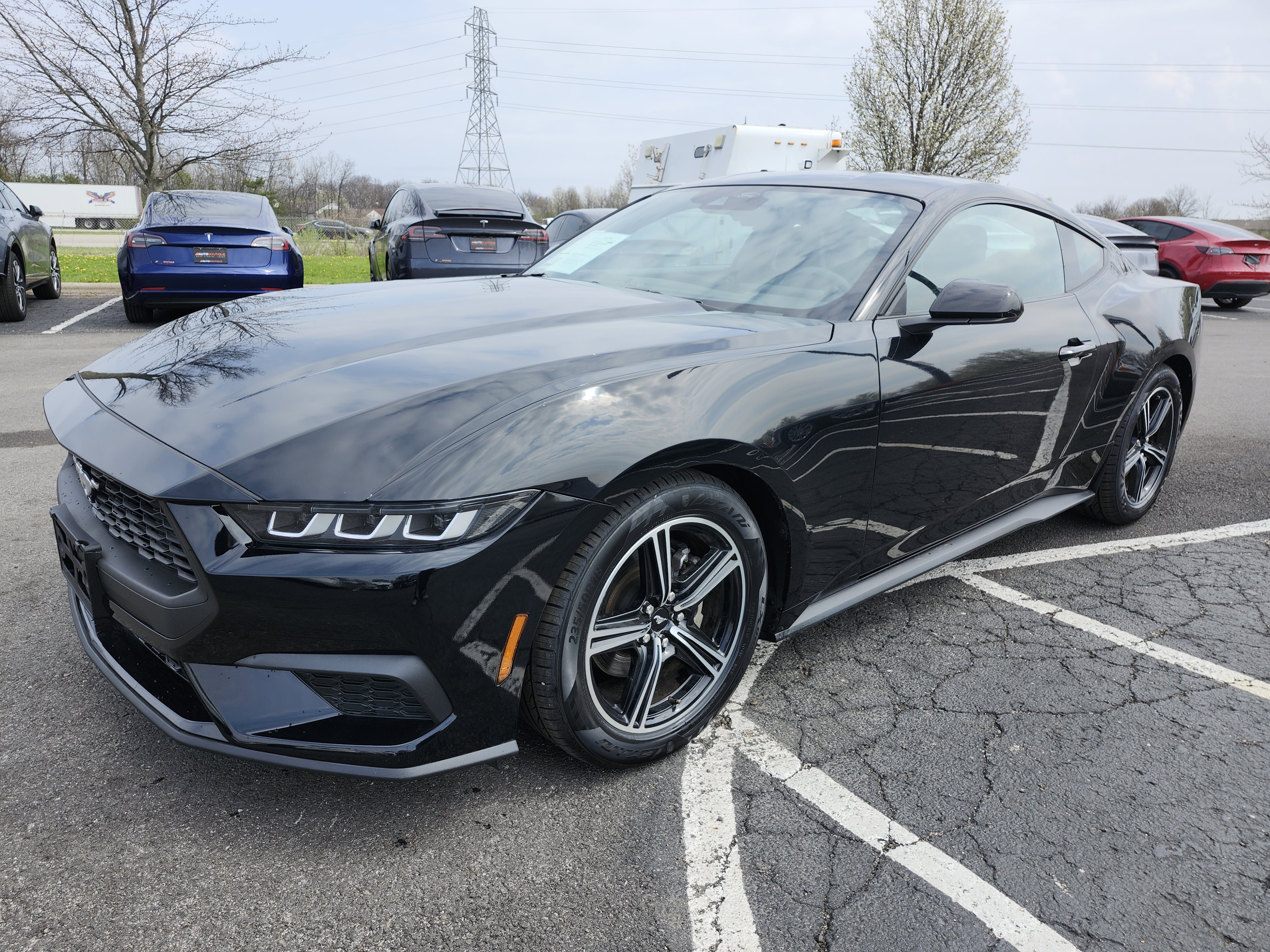 Used 2024 Ford Mustang Coupe image 13