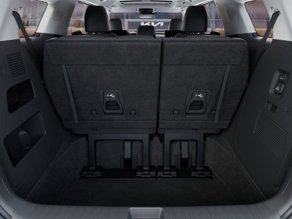 New 2025 Kia Carnival SX image 19