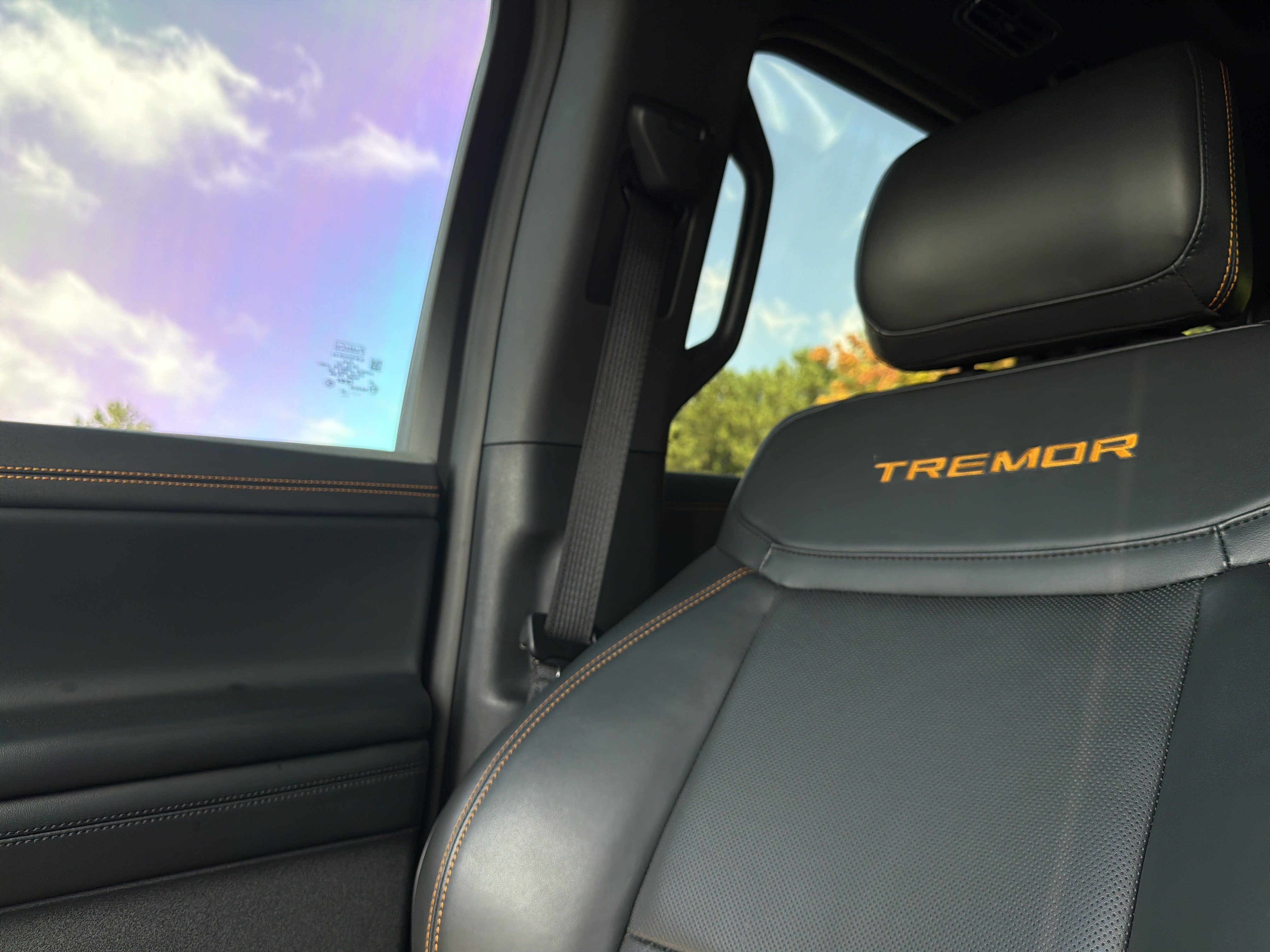Used 2025 Ford Expedition Tremor AWD/4WD image 49
