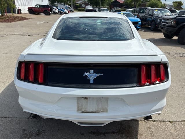 Used 2015 Ford Mustang Coupe w/ Equipment Group 051A RWD image 5