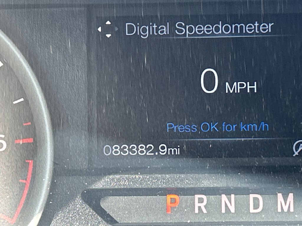 Used 2019 Ford F150 XLT w/ Equipment Group 302A Luxury AWD/4WD image 24
