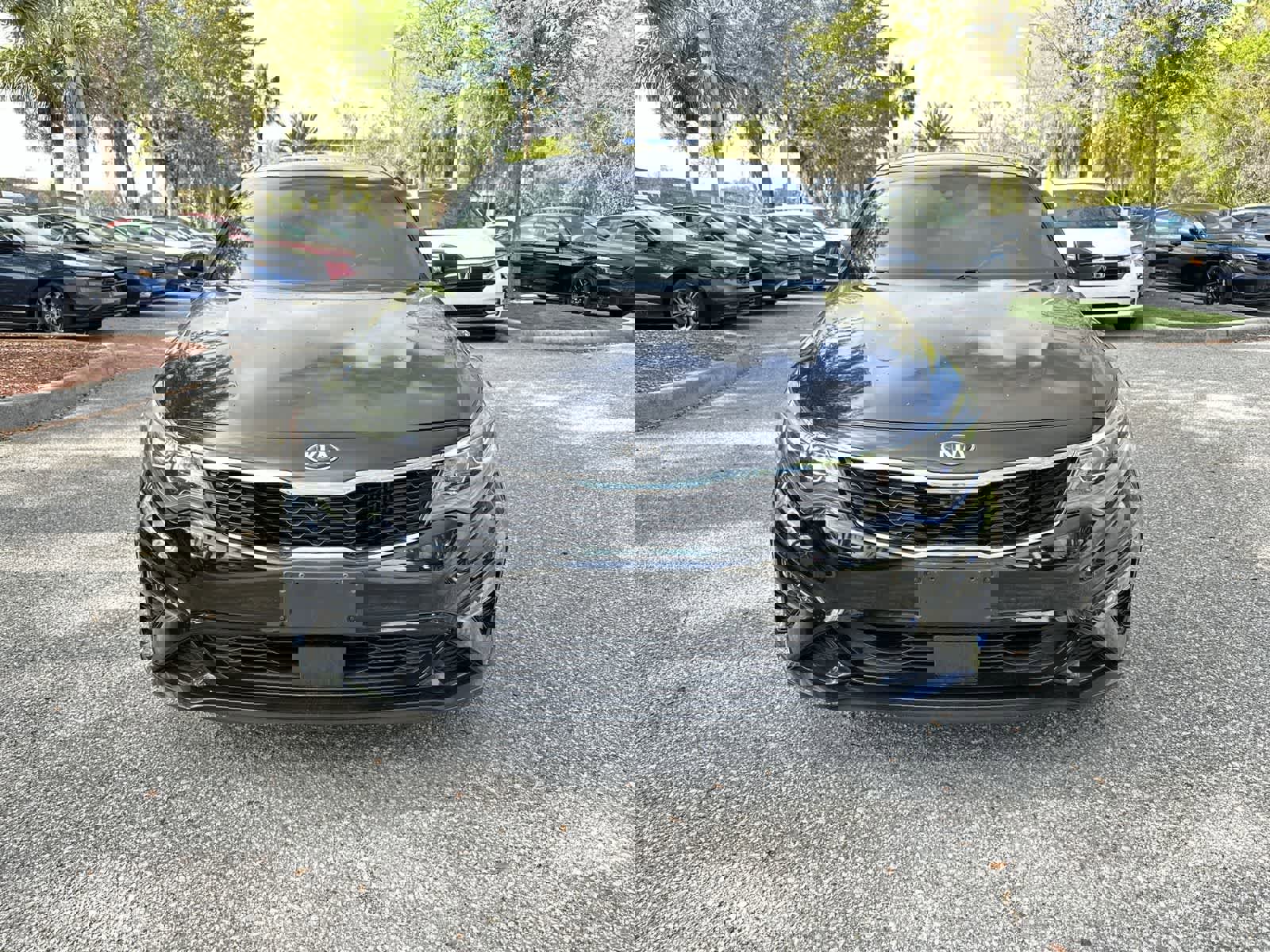 Used 2019 Kia Optima SX w/ SX Limited (Bronze) Package image 9