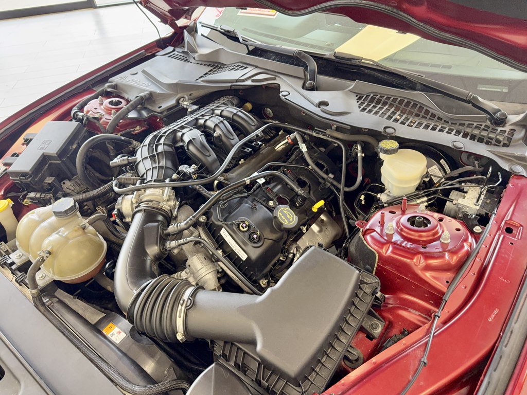 Used 2017 Ford Mustang Coupe RWD image 18