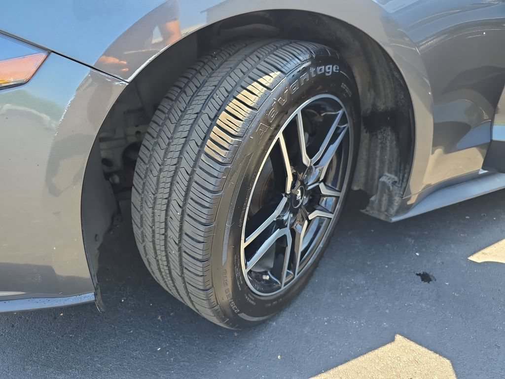 Used 2019 Ford Mustang Premium w/ Ford Safe & Smart Package RWD image 34