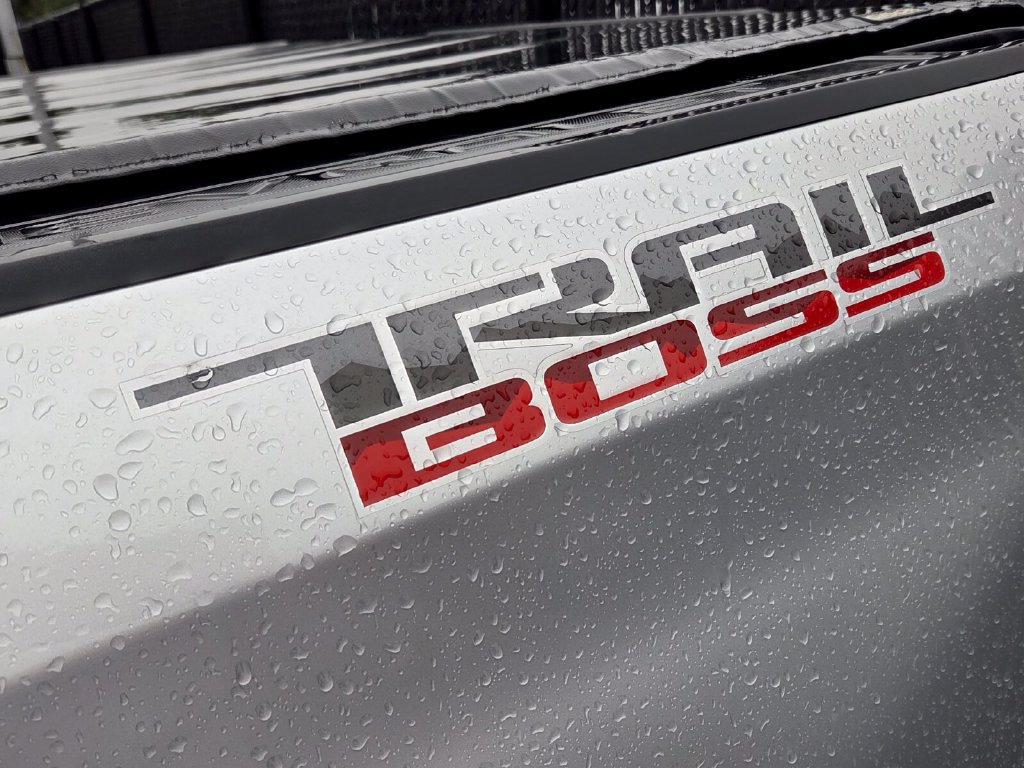 Used 2019 Chevrolet Silverado 1500 LT Trail Boss AWD/4WD image 5