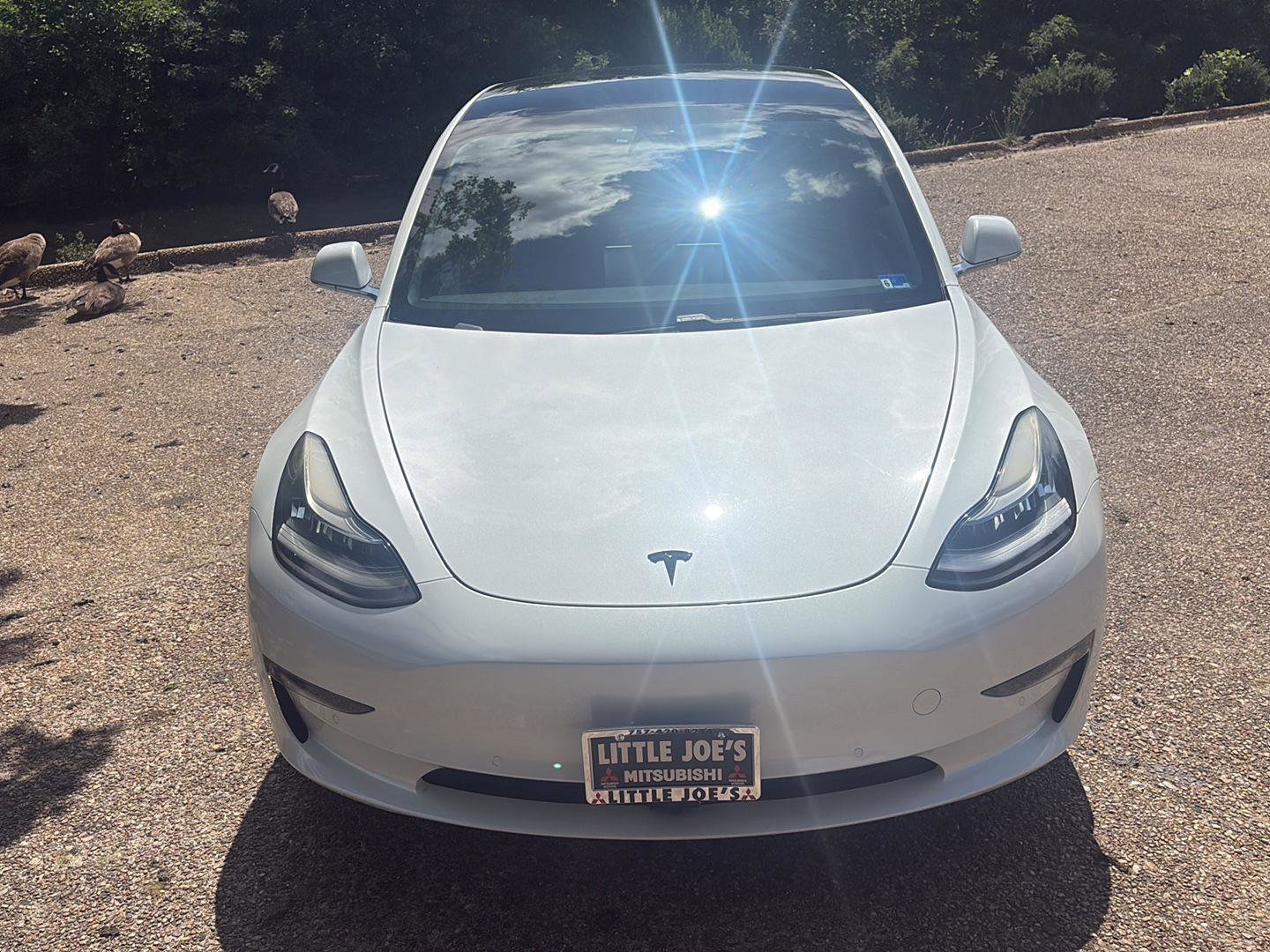 Used 2019 Tesla Model 3 Standard Range RWD image 14
