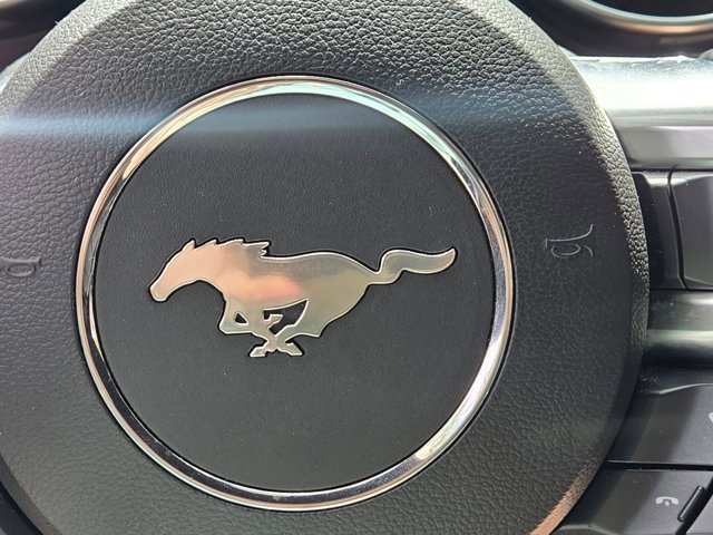 Used 2018 Ford Mustang Coupe w/ Equipment Group 101A RWD image 12